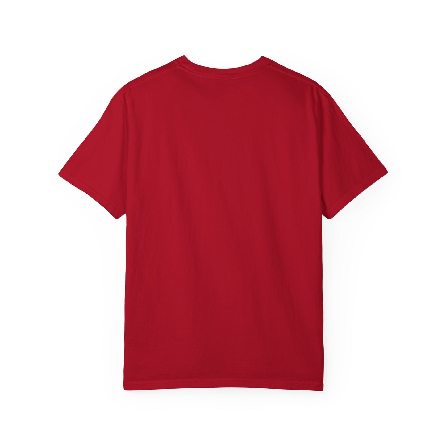 Musante Beach Cabana & Surf Rentals Tee | Retro Unisex | Northampton MA | Garment-Dyed, Soft Feel, Great Local Gift